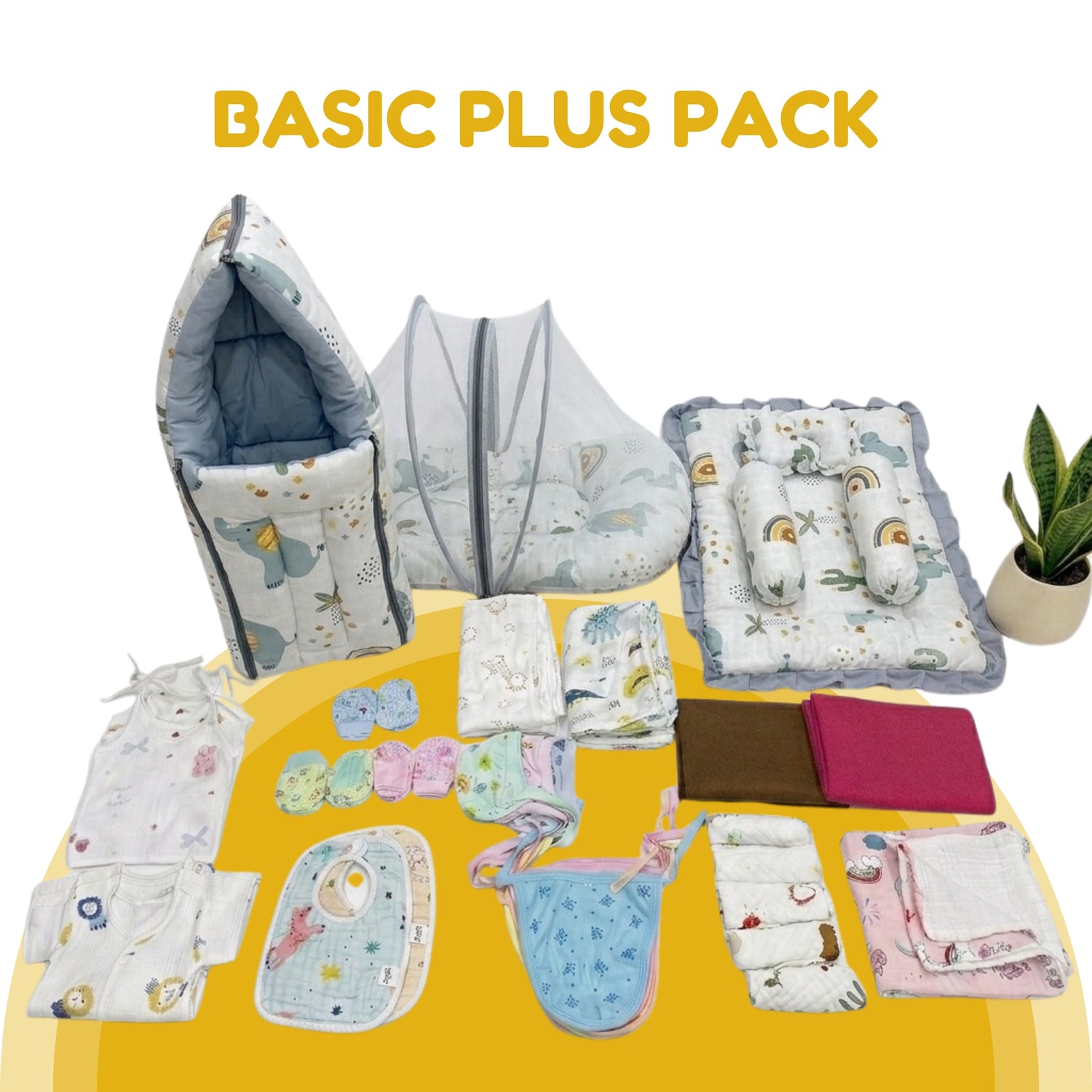 Basic Plus Pack